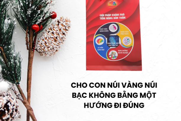 Tặng 50% phí tư vấn tâm lý giáo dục Nhân dịp Giáng sinh và Năm mới 2025
